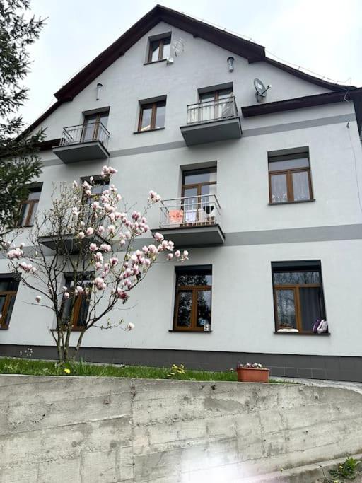 Nad Potokiem Apartment Krynica Zdroj